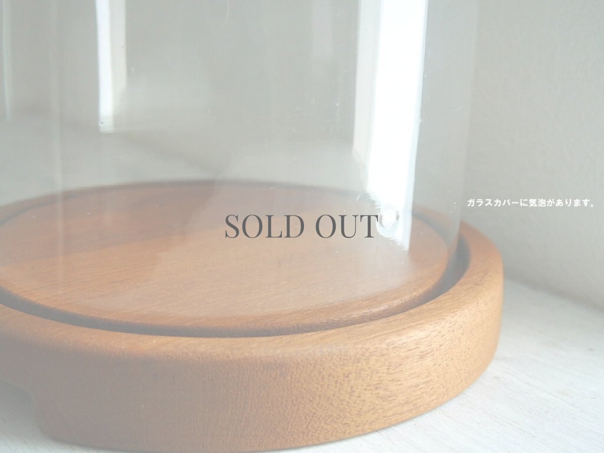 画像4: 北欧ヴィンテージ雑貨　ガラスとチークのケーキドーム (4)