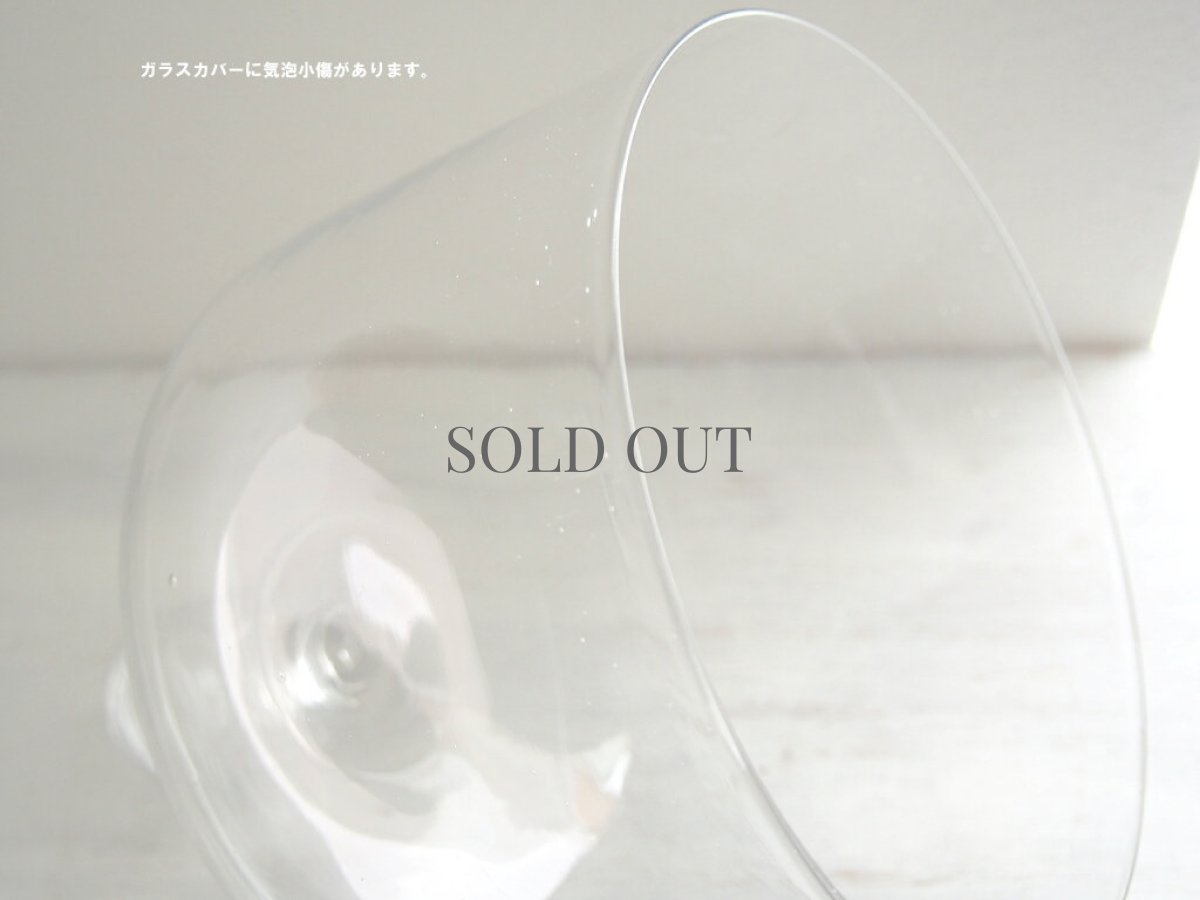 画像5: 北欧ヴィンテージ雑貨　ガラスとチークのケーキドーム (5)