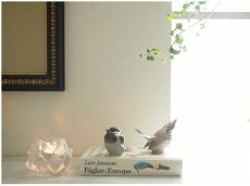 画像7: 北欧ヴィンテージ　Bing & Grondahl 陶器の鳥のフィギュリン (7)