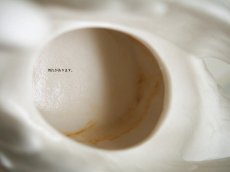 画像6: ヴィンテージ レトロ Goebel 陶器の白鳥の置物 (6)