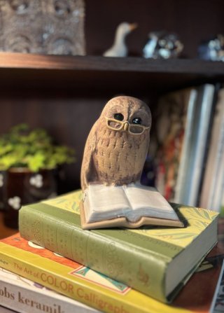 レビュー224-投稿画像1