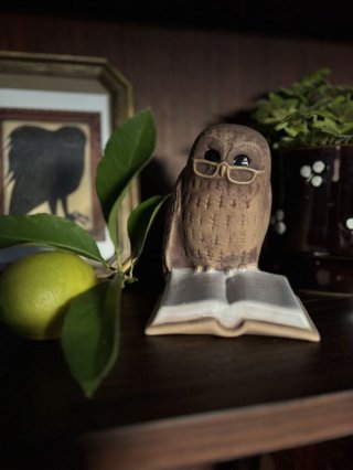 レビュー224-投稿画像2