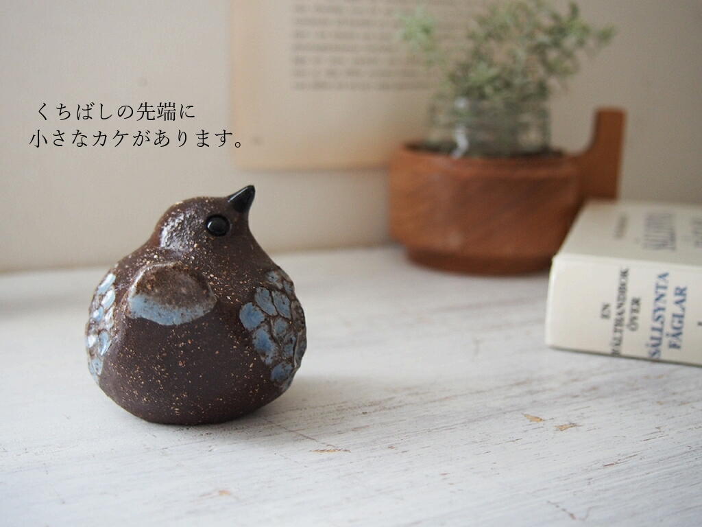 くちばしのカケが分かるディテール写真。 antenna